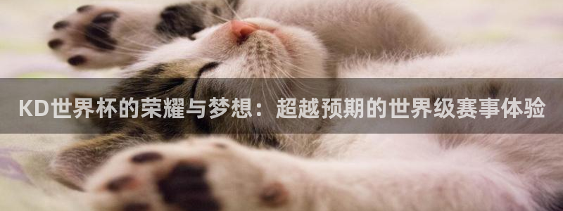 世界杯决赛直播：KD世界杯的荣耀与梦想：超越预期的世界级赛事体验