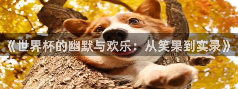 世界杯预选赛欧洲赛区赛程：《世界杯的幽默与欢乐：从笑果到实录》