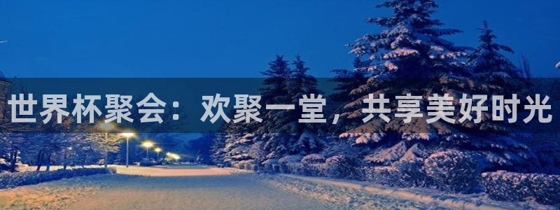 足球世界杯时间：世界杯聚会：欢聚一堂，共享美好时光