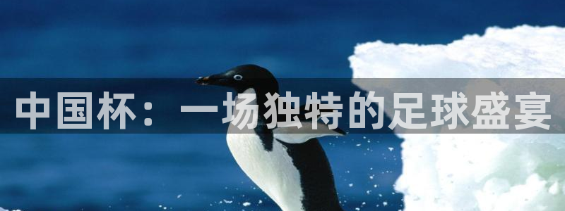 世界杯足球比赛：中国杯：一场独特的足球盛宴