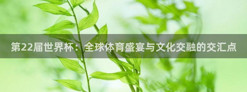2026世界杯日期：第22届世界杯：全球体育盛宴与文化交融的交汇点