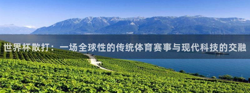 世俱杯直播：世界杯散打：一场全球性的传统体育赛事与现代科技的交融