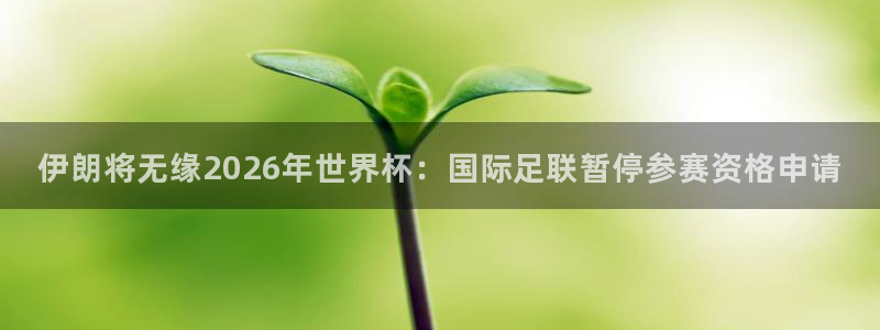 世界杯附加赛赛程表：伊朗将无缘2026年世界杯：国际足联暂停参赛资格申请