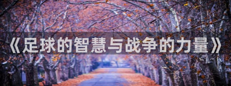 世界杯预选赛：《足球的智慧与战争的力量》
