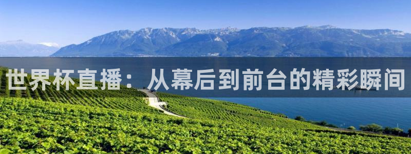 世界杯直播在线观看入口：世界杯直播：从幕后到前台的精彩瞬间