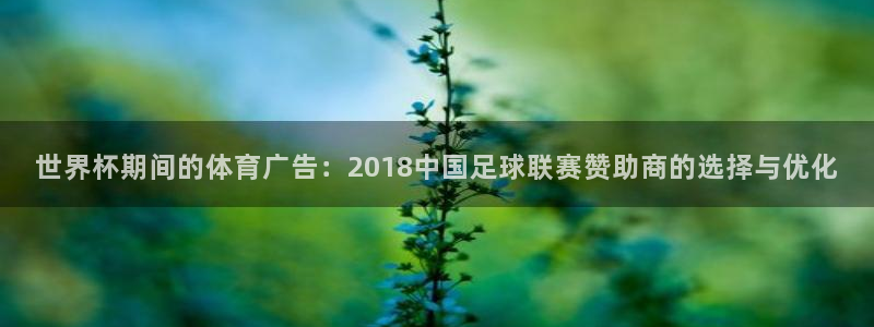 2026世界杯德国队阵容：世界杯期间的体育广告：2018中国足球联赛赞助商的选择与优化