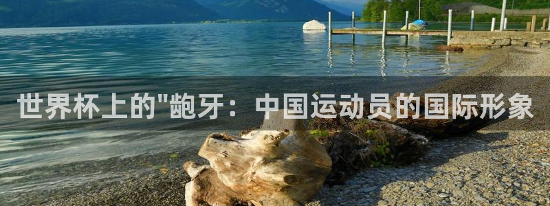 2026世界杯日期：世界杯上的\