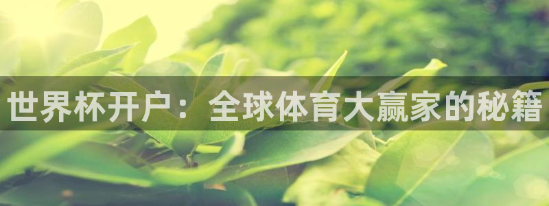 亚洲杯比赛直播：世界杯开户：全球体育大赢家的秘籍