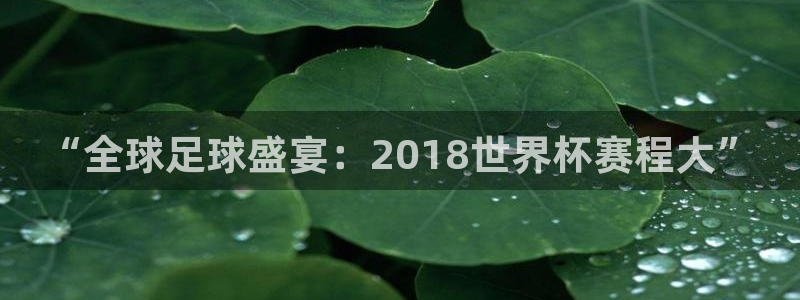 世界杯预赛赛程：“全球足球盛宴：2018世界杯赛程大”