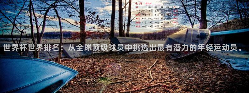 世界杯球队排名：世界杯世界排名：从全球顶级球员中挑选出最有潜力的年轻运动员。