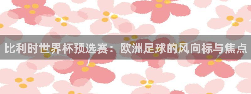 足球世预赛：比利时世界杯预选赛：欧洲足球的风向标与焦点