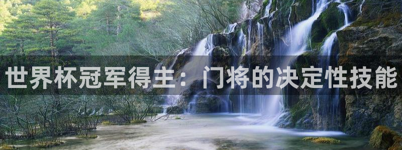 世界杯系列赛：世界杯冠军得主：门将的决定性技能