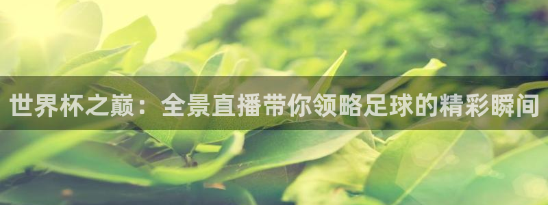 世预赛免费直播入口：世界杯之巅：全景直播带你领略足球的精彩瞬间