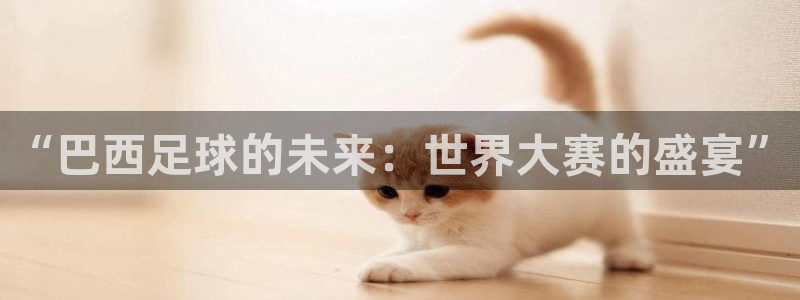 世界杯欧洲预选赛：“巴西足球的未来：世界大赛的盛宴”