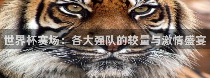 世界杯2026赛制：世界杯赛场：各大强队的较量与激情盛宴