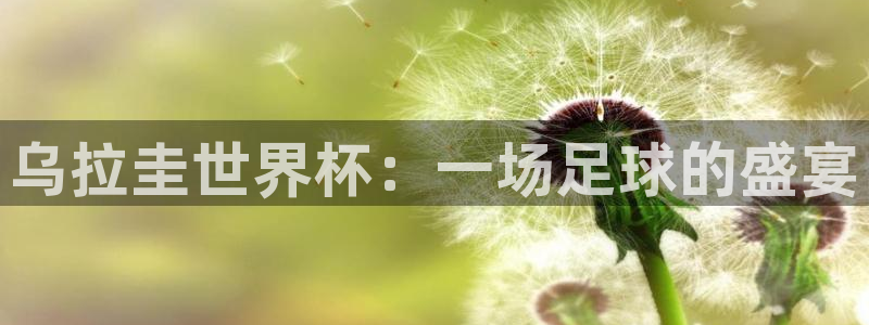 世预赛免费直播入口：乌拉圭世界杯：一场足球的盛宴
