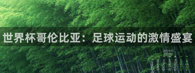 2026世界杯南美区积分榜：世界杯哥伦比亚：足球运动的激情盛宴